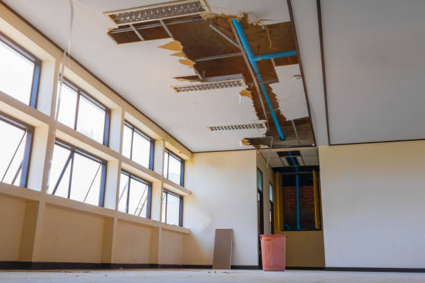 Best Water damage restoration near me  in Silver Lake, KS