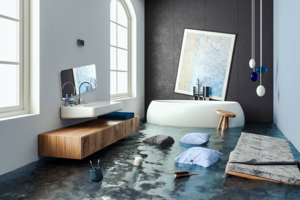 Best Water damage contractors near me  in Silver Lake, KS