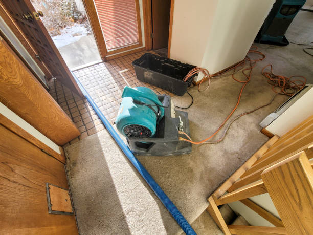 Best Professional water damage repair  in Silver Lake, KS