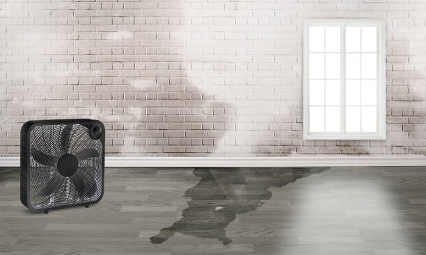 Best Emergency water damage restoration  in Silver Lake, KS