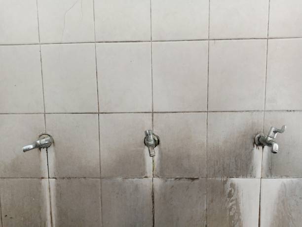 Best Carpet water damage restoration  in Silver Lake, KS