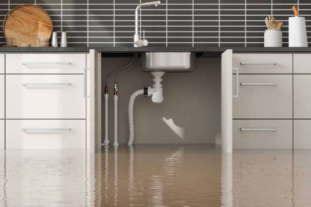Best Basement water damage restoration  in Silver Lake, KS