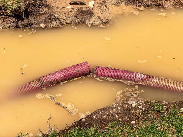Best Water damage restoration services  in Silver Lake, KS